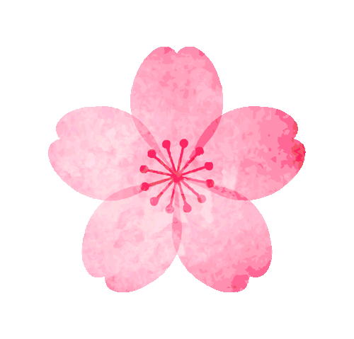 雅鑫商学院｜三八女神节致敬最美“女神们”